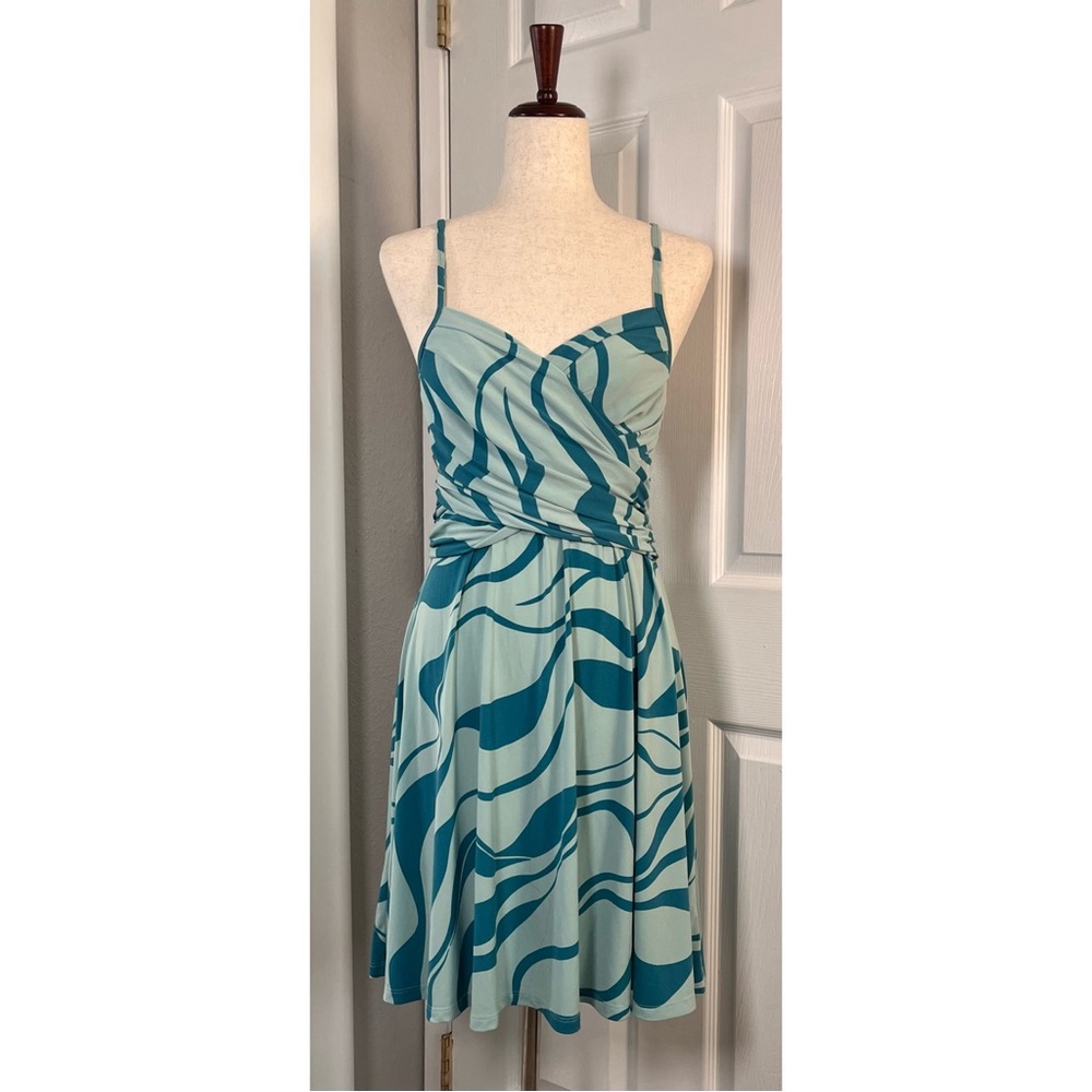 Express 2007 Dress